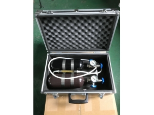 AP5甲烷传感器校验仪（1L）